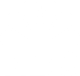 peacock nbc app