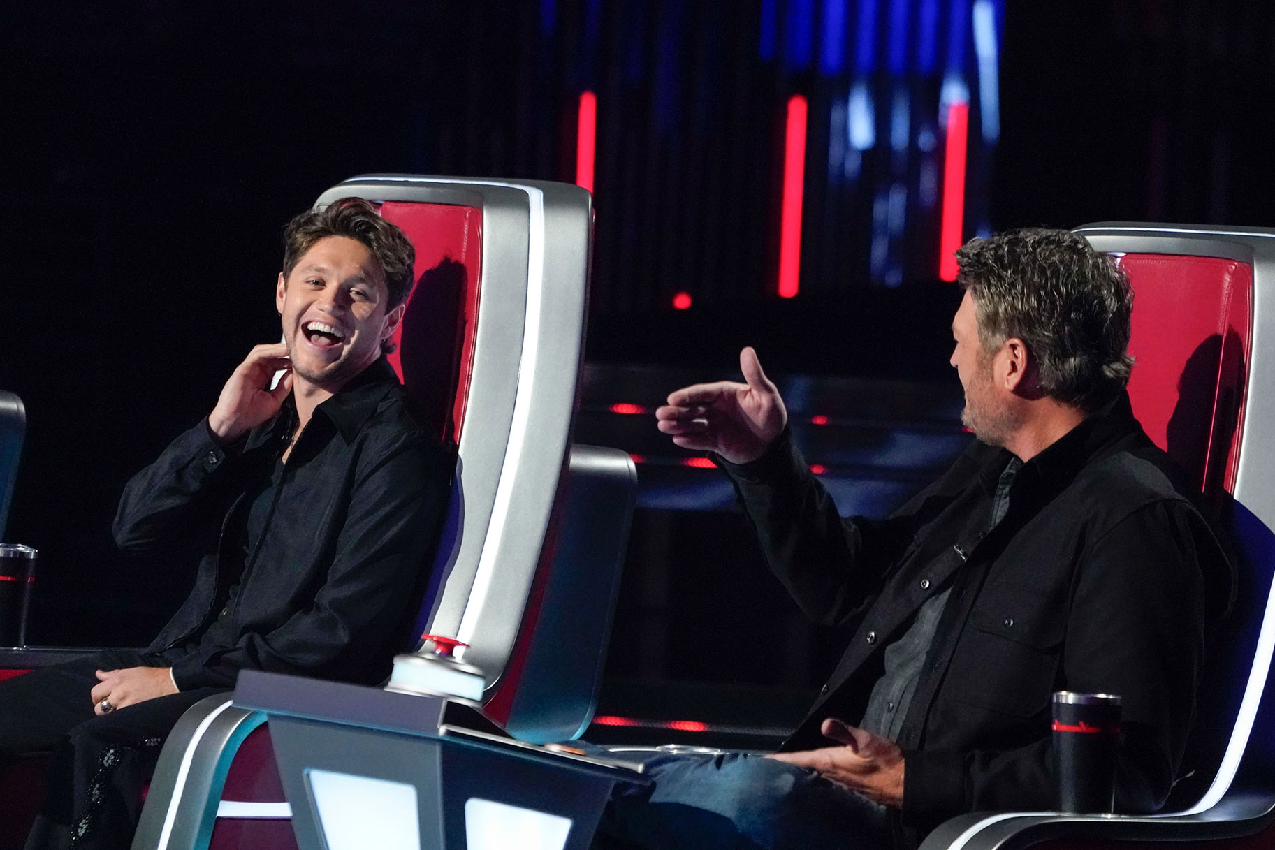 Why Niall Horan Doesn't Want Voice Fans to SympathyVote For Blake