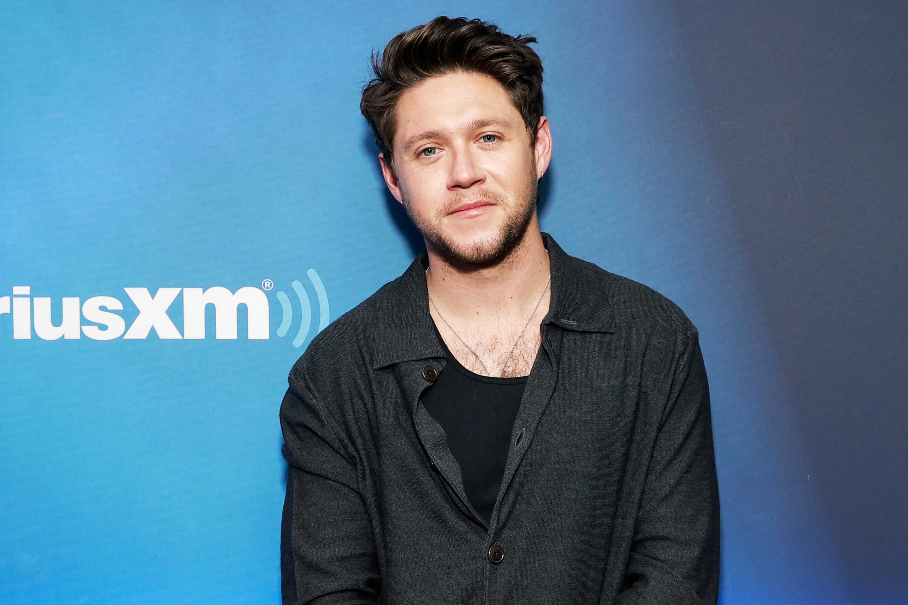 Which One Direction Songs Did Niall Horan Write?