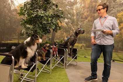 A man standing next two four dogs.