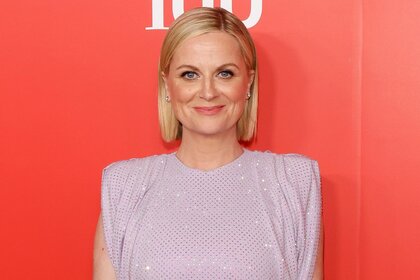 Amy Poehler on the red carpet wearing a pink sparkly dress smiling