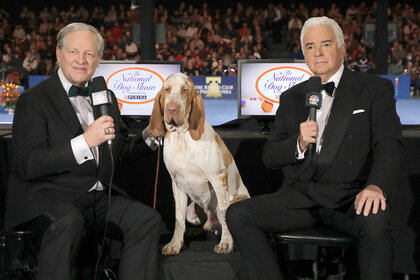 David Frei Bracco Italiano and John O'Hurley during The National Dog Show presented by Purina