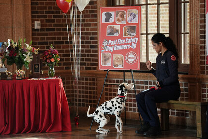 Tuesday the Dalmatian and Stella Kidd ( Miranda Rae Mayo) appear in Season 7 Episode 11 of Chicago Fire