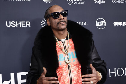 Snoop Dogg poses in sunglasses and a fur coat.