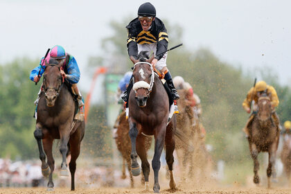 Gary Stevens celebrates atop of Oxbow #6 after crossing the finish line to win the 138th running of the Preakness Stakes