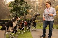 A man standing next two four dogs.