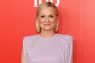 Amy Poehler on the red carpet wearing a pink sparkly dress smiling