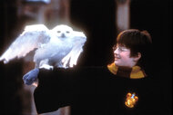Harry Potter and his owl in Harry Potter And The Sorcerers Stone