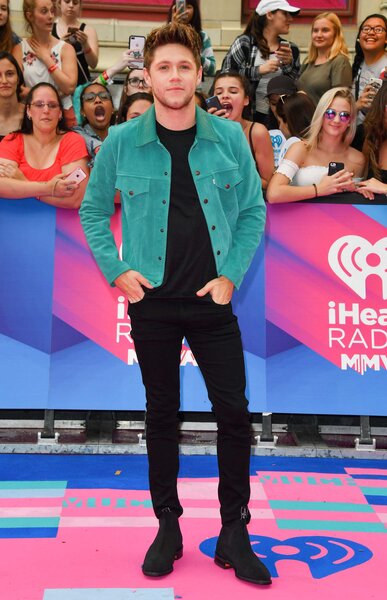 Niall Horan posing at the 2017 MuchMusic Video Awards carpet.
