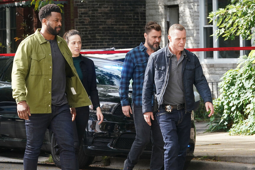 Chicago Pd 100611