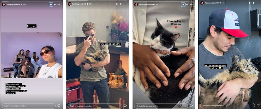 Hanako Greensmith's Instagram stories with the Chicago Fire cast holding cats.