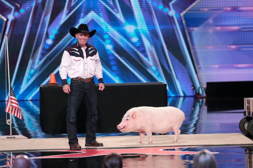 Mudslinger the pig stands on stage for Americas Got Talent