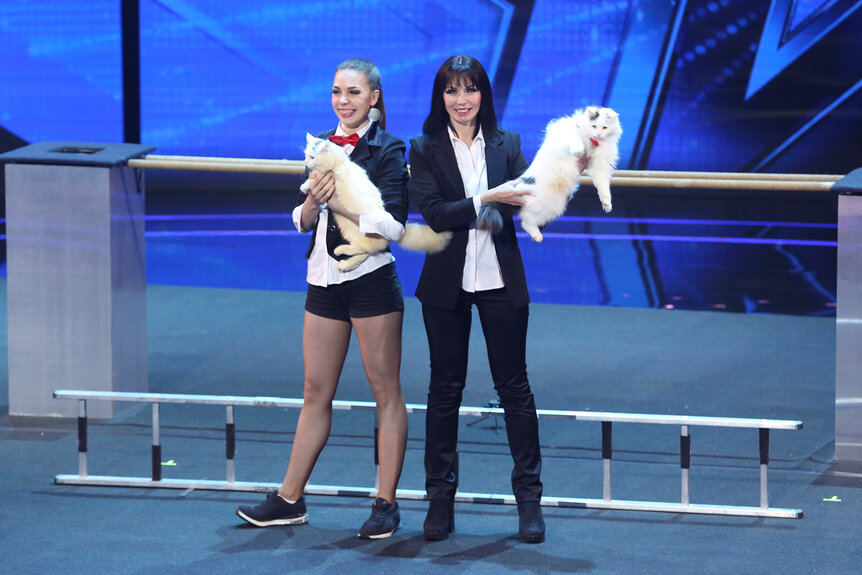 The Savitsky Cats perform on stage on Episode 1309 "Judge Cuts 3" of America's Got Talent