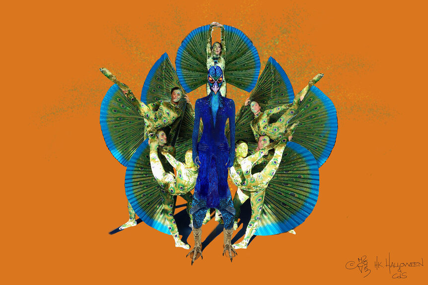 A sketch of Heidi Klum's Halloween Costume that features her and Cirque De Soleil dancers creating a peacock