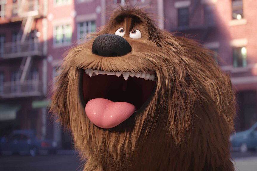 Duke from The Secret Life of Pets
