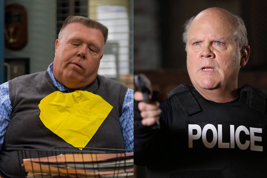 A split of Norm Scully and Hitchcock in Brooklyn Nine-Nine.