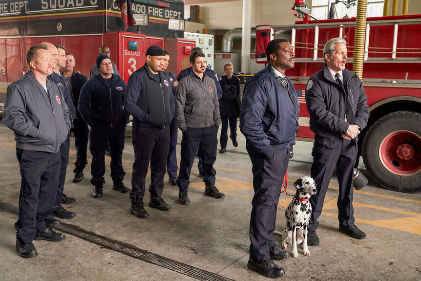 Tuesday the Dalmatian and the Fire Station 51 team appear in Season 7 Episode 16 of Chicago Fire