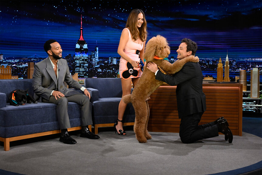 John Legend & Chrissy Teigen’s Huge Poodle, Petey, Is Almost as Big as ...